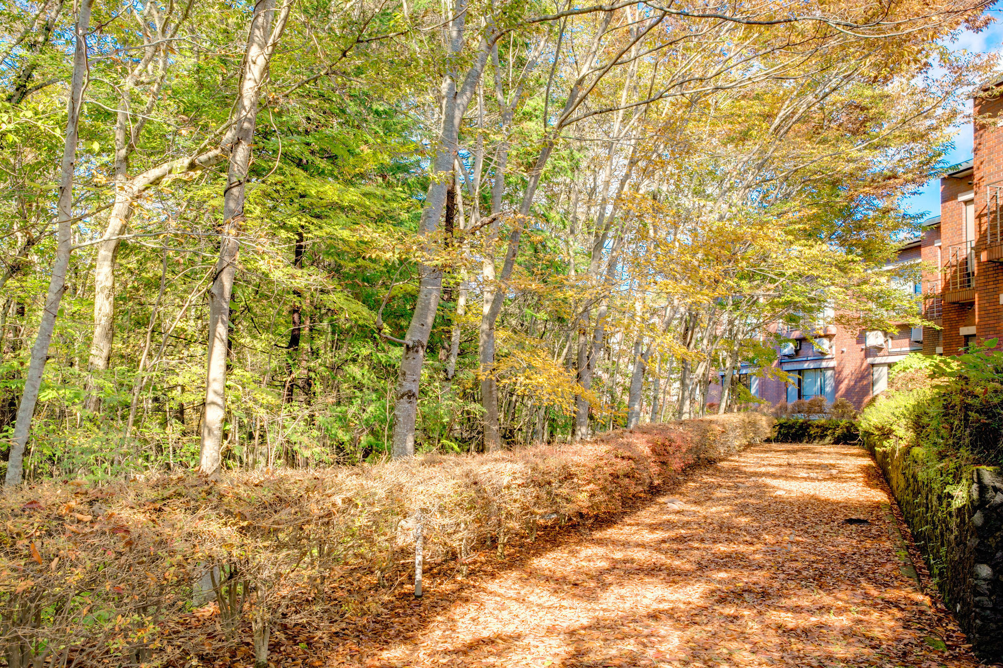 ホテル 山中湖 秀山荘 山中湖村 エクステリア 写真